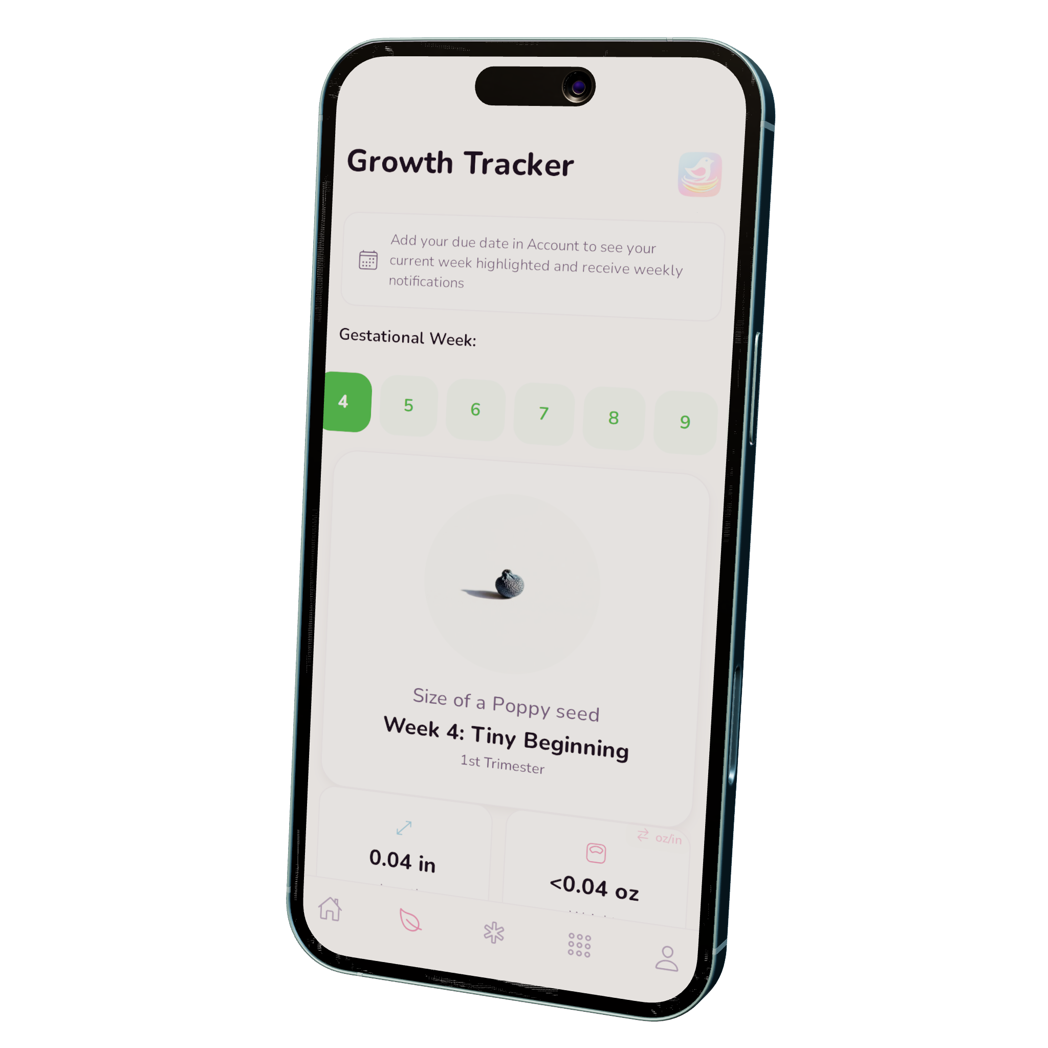 Nesting Co. pregnancy growth-tracking dashboard.