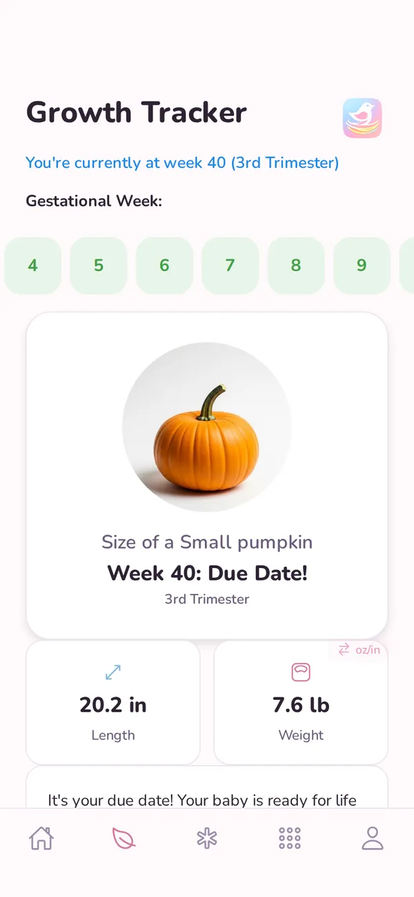 Week-by-week pregnancy education screen